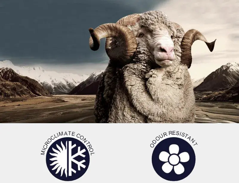 Ein majestätisches Merinoschaf in einer Berglandschaft, das die natürliche Merinowolle darstellt, die für die Sturmhauben verwendet wird. Symbole am unteren Rand weisen auf die Kontrolle des Mikroklimas und die Geruchsresistenz hin, zwei wichtige Stärken von Sturmhauben aus Merinowolle.