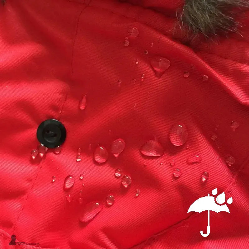 Cappello di pelliccia femminile – Concentrati sul tessuto idrorepellente con gocce d'acqua per illustrare la protezione contro l'umidità e la neve – Espace Cagoules