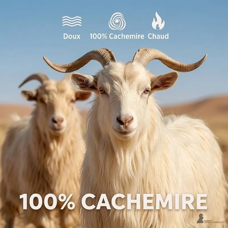 Cagoule en cachemire pour femme, deux chèvres dans un paysage désertique avec logos et texte publicitaire - Espace Cagoules
